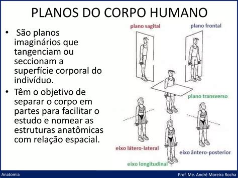 2 Planos e Eixos anatômicos pptx