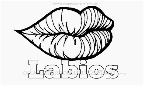 Dibujos De Labios Para Pintar Imagui