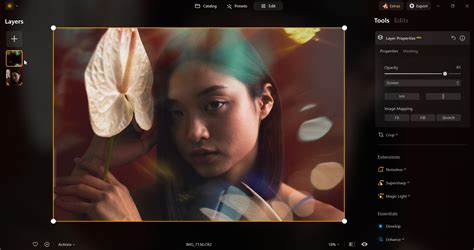 A Beginner's Guide to Luminar Neo's Presets | Skylum Blog