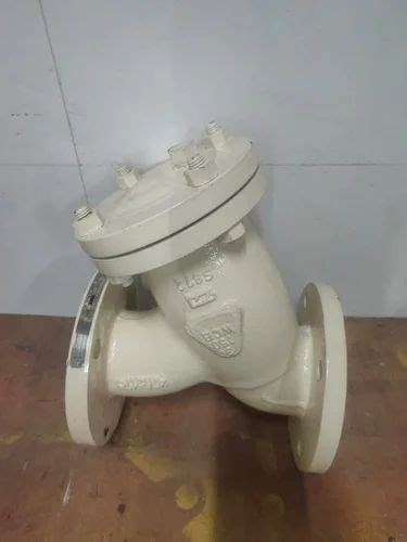 Cast Iron Water Matic Y Type Strainer Capacity Inch At Rs