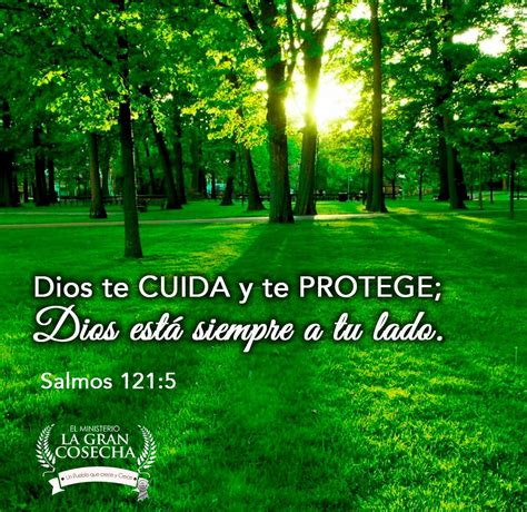 Dios Te Cuida Y Te Protege Dios Est Siempre A Tu Lado Salmos