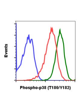 Phospho P Mapk T Y Recombinant Mab Abwiz Bio