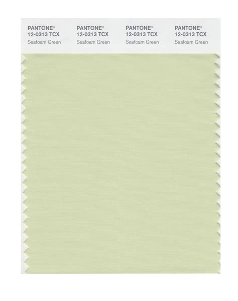 Buy Pantone Smart Swatch 12 0313 Seafoam Green