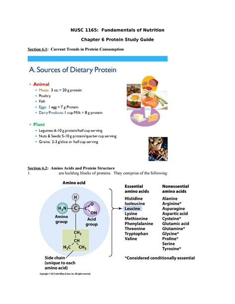 Exam 3 study guide - NUSC 1165: Fundamentals of Nutrition Chapter 6