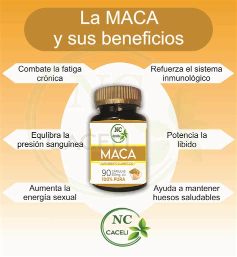 Propiedades De La Maca Peruana