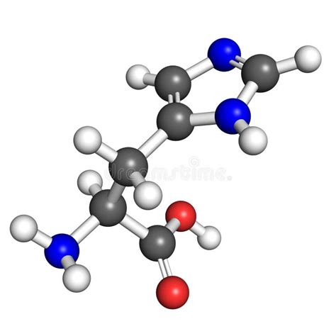 Histidine L Histidine His H Amino Acid Molecule It Is Used In The