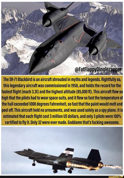 Army Humor, Military Humor, Military History, Fighter Planes, Fighter ...