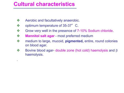 Staphylococcus Ppt Veterinary Microbiology Ppt