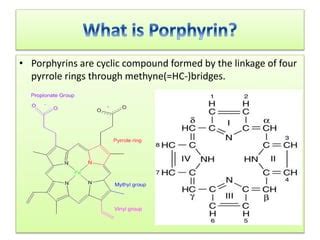 Porphyrin Metabolism Ppt