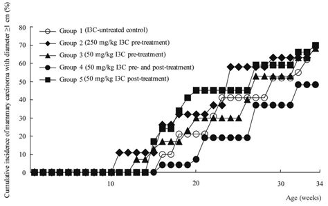 Effects Of Prepubertal Indole 3 Carbinol Treatment On The Cumulative