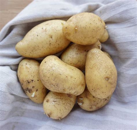 Why Using the Microwave Makes Perfect Baked Potatoes - Food Crumbles