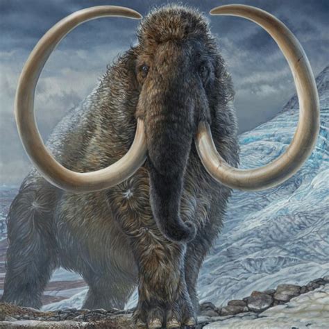 Bold Plan To Bring Woolly Mammoth Back From Extinction Kidsnews