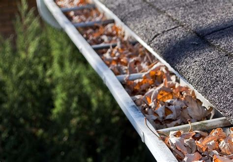 Advantages Of Hiring A Professional To Do Gutter Cleaning