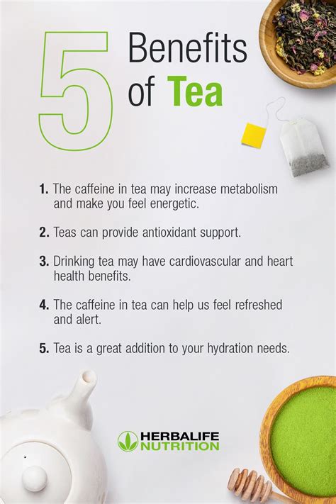 Types Of Teas And Benefits Green Black And Herbal Tea Guide Artofit