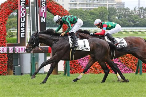 西村淳也騎手が阪神4rでjra通算200勝を達成 現役62人目「多くの競馬関係者の方々に感謝しています」 Umatoku 馬トク