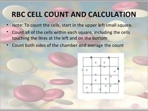 Rbc Counting Unopette