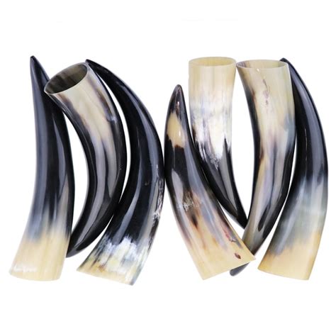 Native Crafts Wholesale Now Open To The Public Polished Buffalo Horn 5 To 7 [bbh Wbh3 Bjj