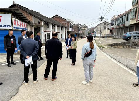 板桥乡开展人大代表视察调研活动基层动态大祥区人民政府