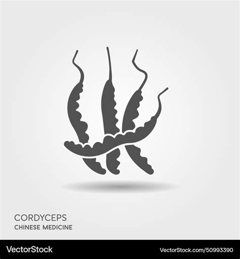 Cordyceps Mushrooms Flat Icon Natural Medicine Vector Image