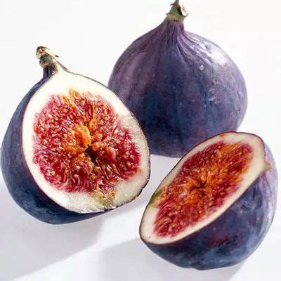 Fig Tree Seeds - 10 Seeds - Common Fig Tree - Seeds and Plants