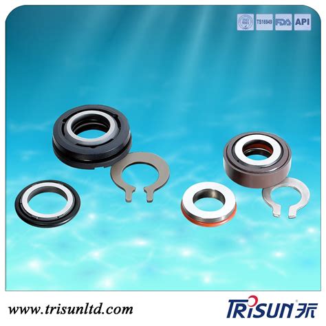 China Itt Flygt 3067 3066 3102 3127 Mechanical Seal Pump Seal