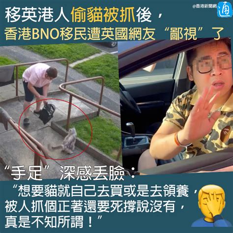 移英港人偷貓被抓後，香港bno移民遭英國網友“鄙視”了 社會 香港中通社