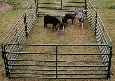 Horse Corral Panels with Galvanized Round, Square and Oval Pipe