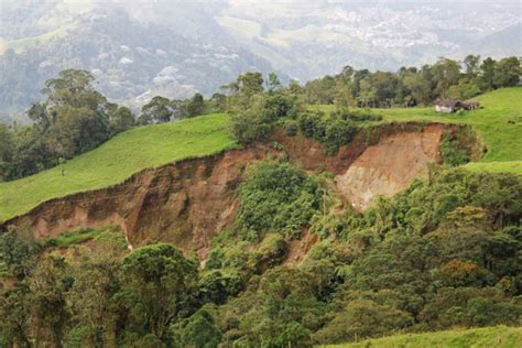 In landslide-prone Colombia, forests can serve as an inexpensive shield