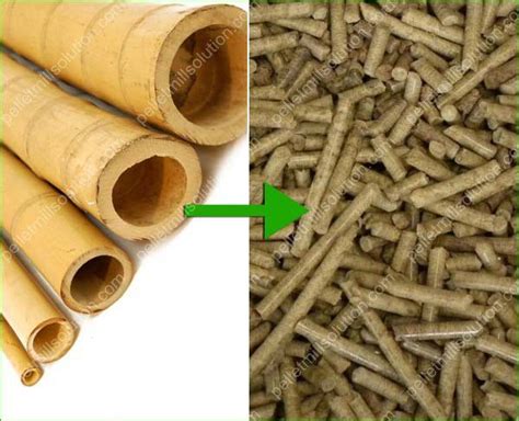 Bamboo Pellet Production Equipmenthow To Make Bamboo Pellets