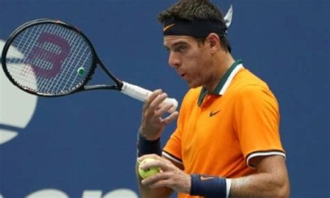 Del Potro savours 'amazing year' after injury hell - EgyptToday