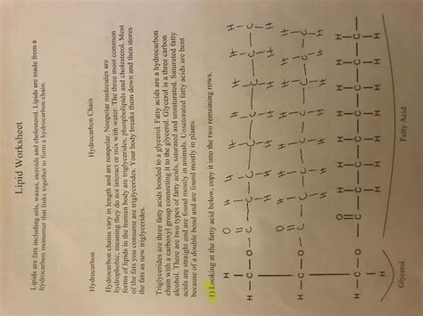 Solved Lipid Worksheet Lipids Are Fats Including Oils Chegg