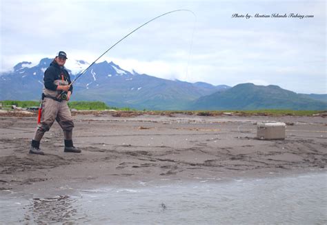 Aleutian Islands Fishing | Alaska Duck Hunting King Eider Hunting