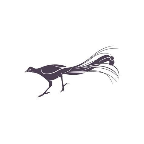 Design De Ilustra O Vetorial Lyrebird Silhueta De Lyrebird Modelo De