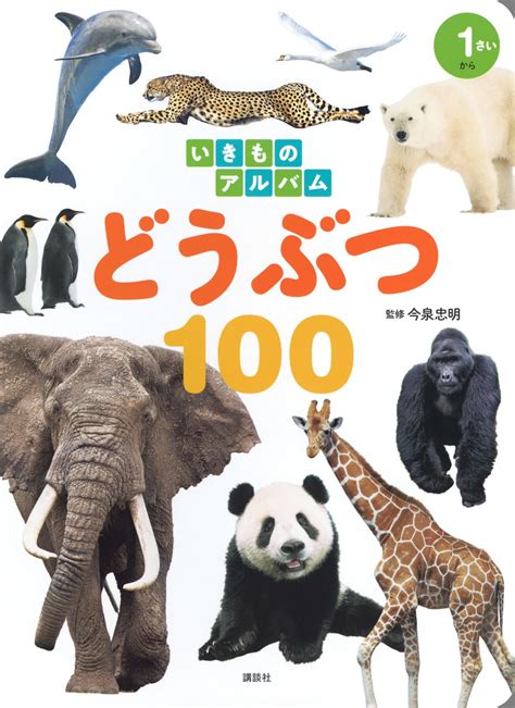 いきものアルバム どうぶつ100 講談社のアルバムシリーズ 今泉 忠明 本 通販 Amazon