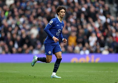 Speed Goes Viral For Barking At Chelseas Joao Felix