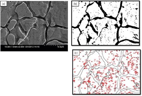 Example Of Calculation Of The Dislocation Density From Sem Images A