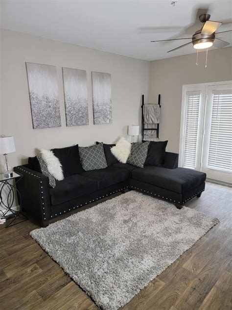 Luxurious Black and Gray Living Room