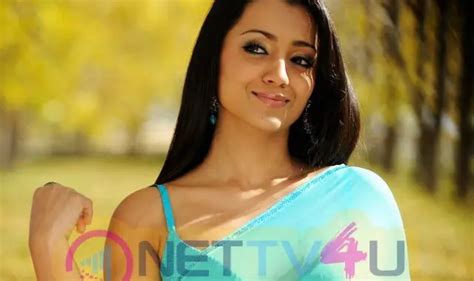 Tamil Actress Trisha Krishnan Hot Exclusive Photos 349135 Galleries HD Images