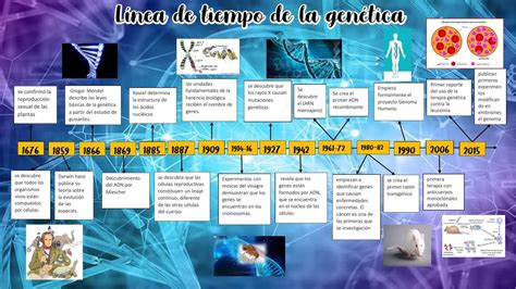 Linea De Tiempo Genética Thalia Cueva Udocz