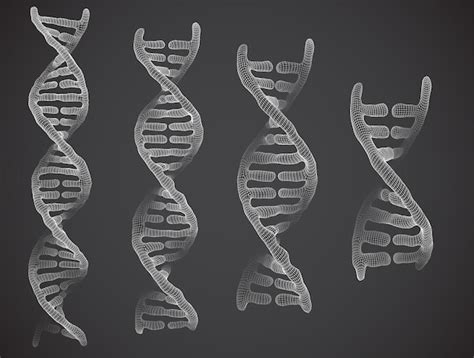 Parte Vetorial Do Estilo Abstrato Triangular D De Dna Humano Vetor