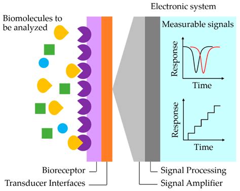 Sensors Free Full Text Graphene Based Materials For Biosensors A