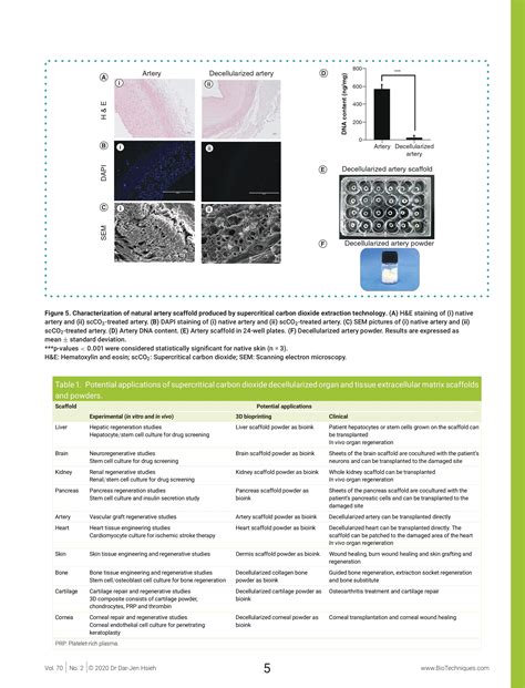 Protocols For The Preparation And Characterization Of Decellularized