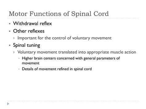 Ppt The Nervous System Structure And Control Of Movement Dr Kyle