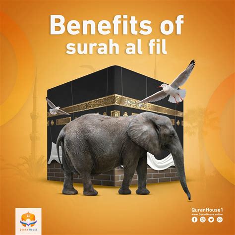 The Benefits Of Surah Al-Fil | Quran House