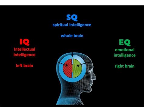 Perbedaan Iq Eq Dan Sq Mengenal Jenis Kecerdasan Yang Berbeda