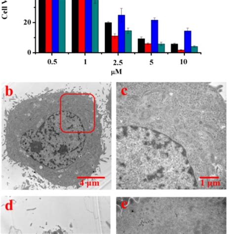 A Cell Viability Of Hepg Cells And Hepg Adr Cells Incubated With