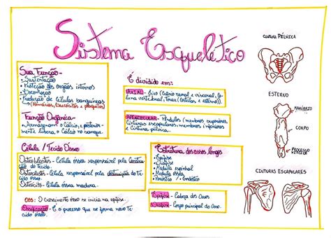 Sistema Esquel Tico Esquel Tico Sistema Esquel Tico Mapa Mental