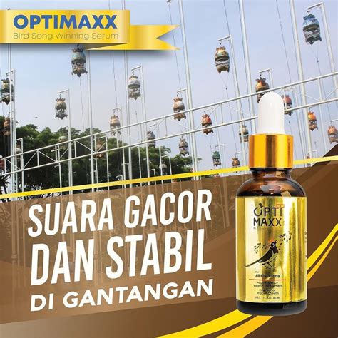 Jual Optimaxx Serum Vitamin Tetes Pakan Burung Suara Untuk Kicau