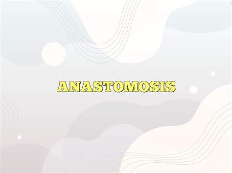 ANASTOMOSIS Definition & Meaning