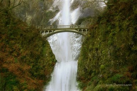 Multnomah Falls in Winter - Travel Oregon